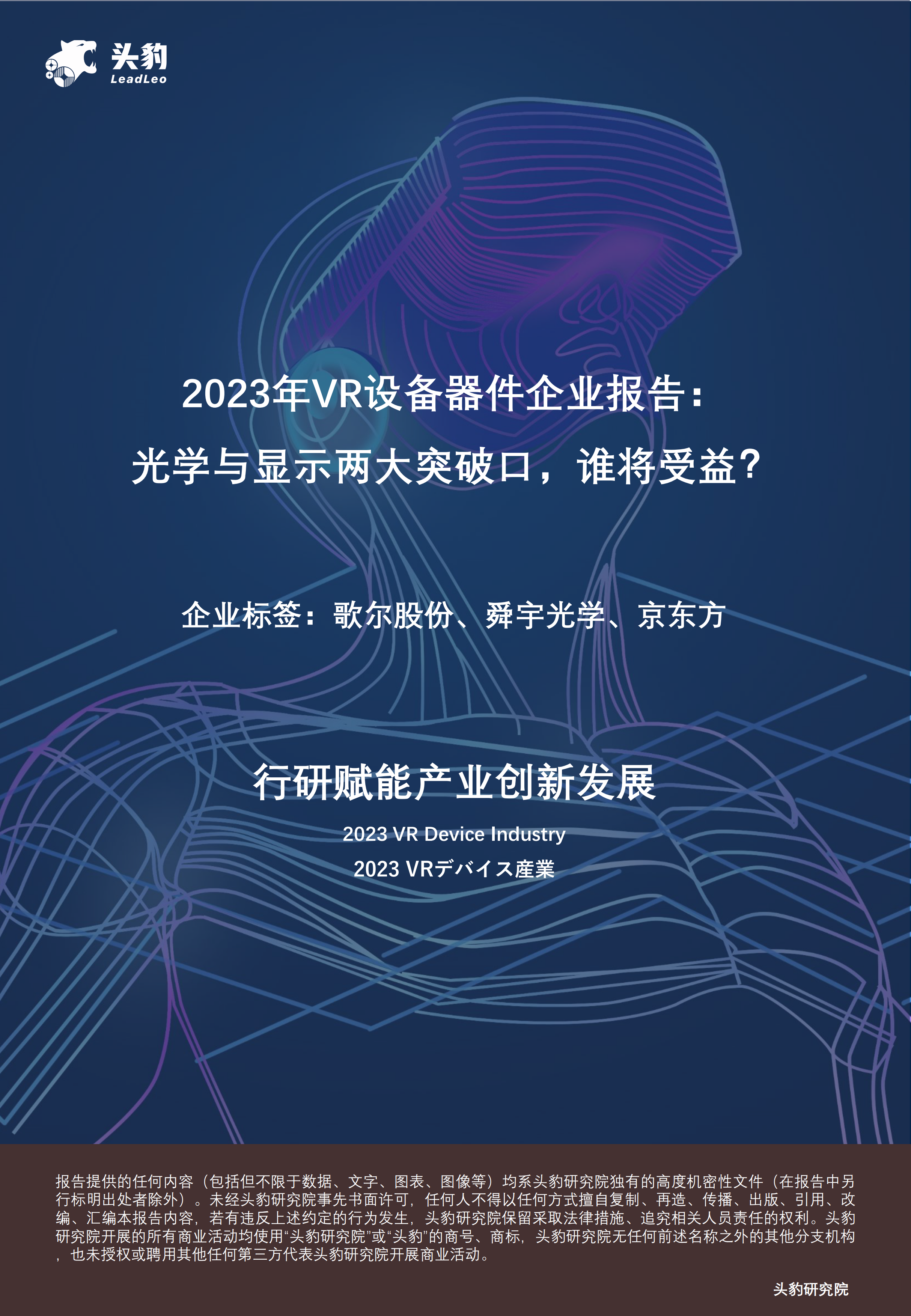 2023年VR设备器件企业报告：光学与显示两大突破口，谁将受益？.pdf