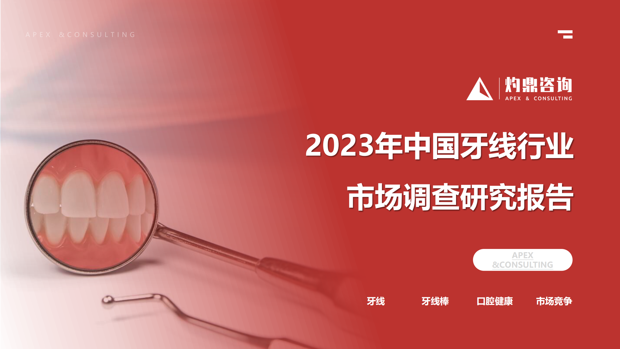 2023年中国牙线行业市场调查研究报告-27页.pdf