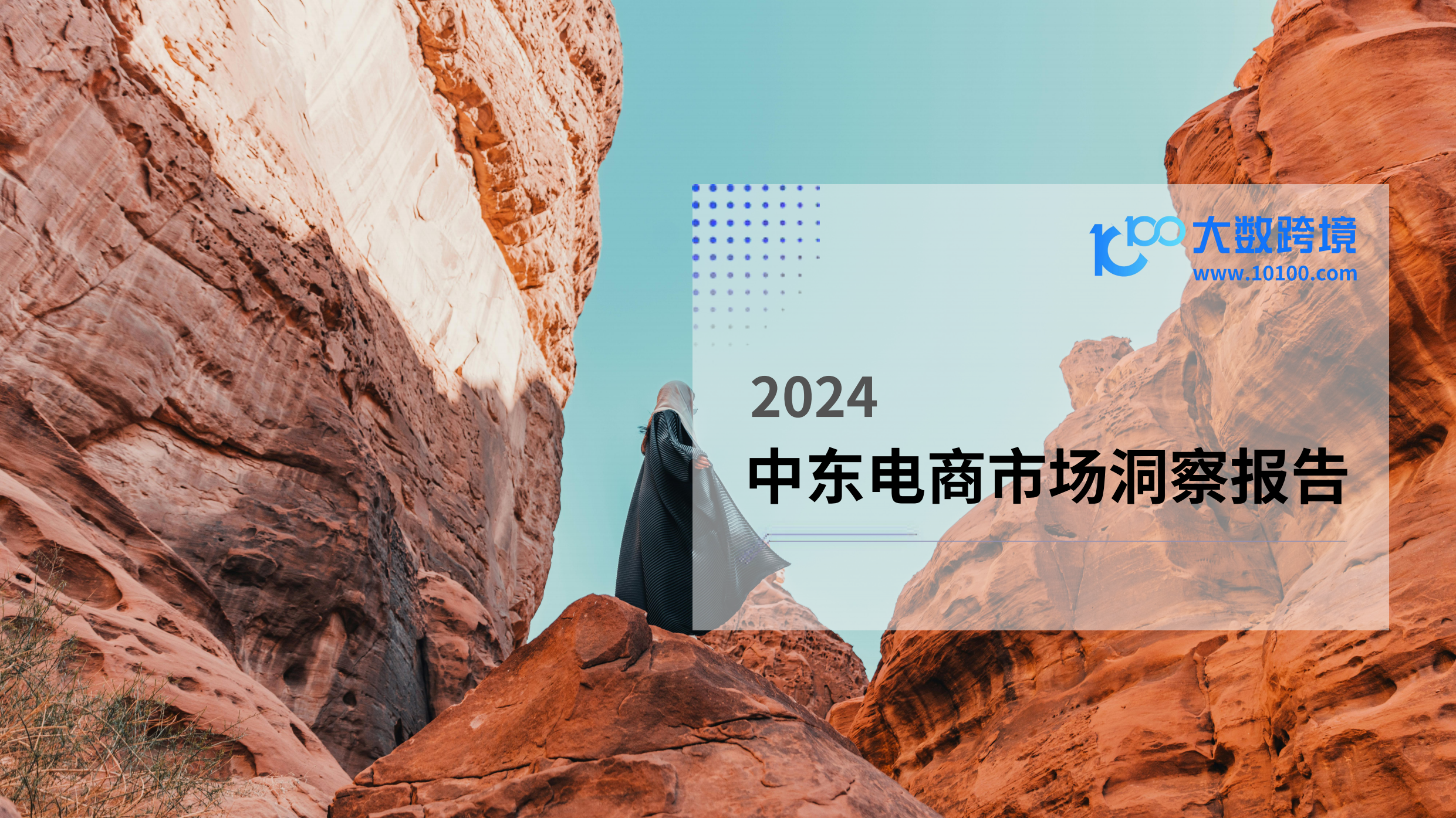 2024中东电商市场洞察报告-大数跨境-202402.pdf